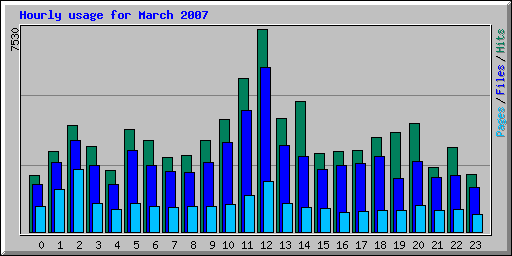 Hourly usage for March 2007