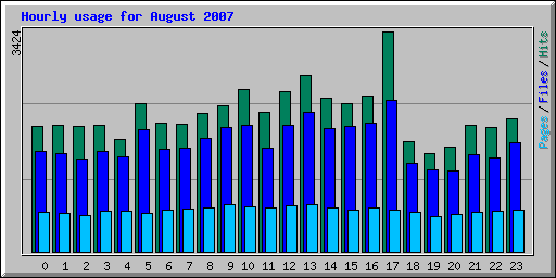 Hourly usage for August 2007